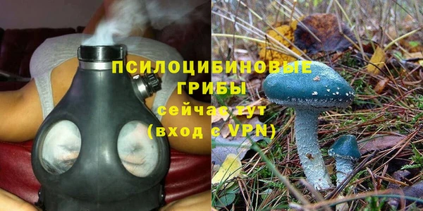 круглые Новодвинск