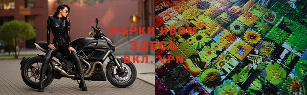 PSILOCYBIN Абаза