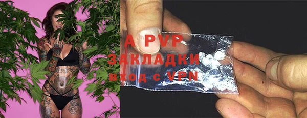 PSILOCYBIN Абаза