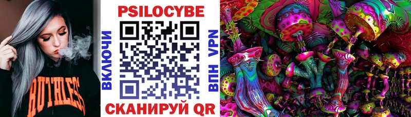 Галлюциногенные грибы Cubensis  где можно купить   Иноземцево 